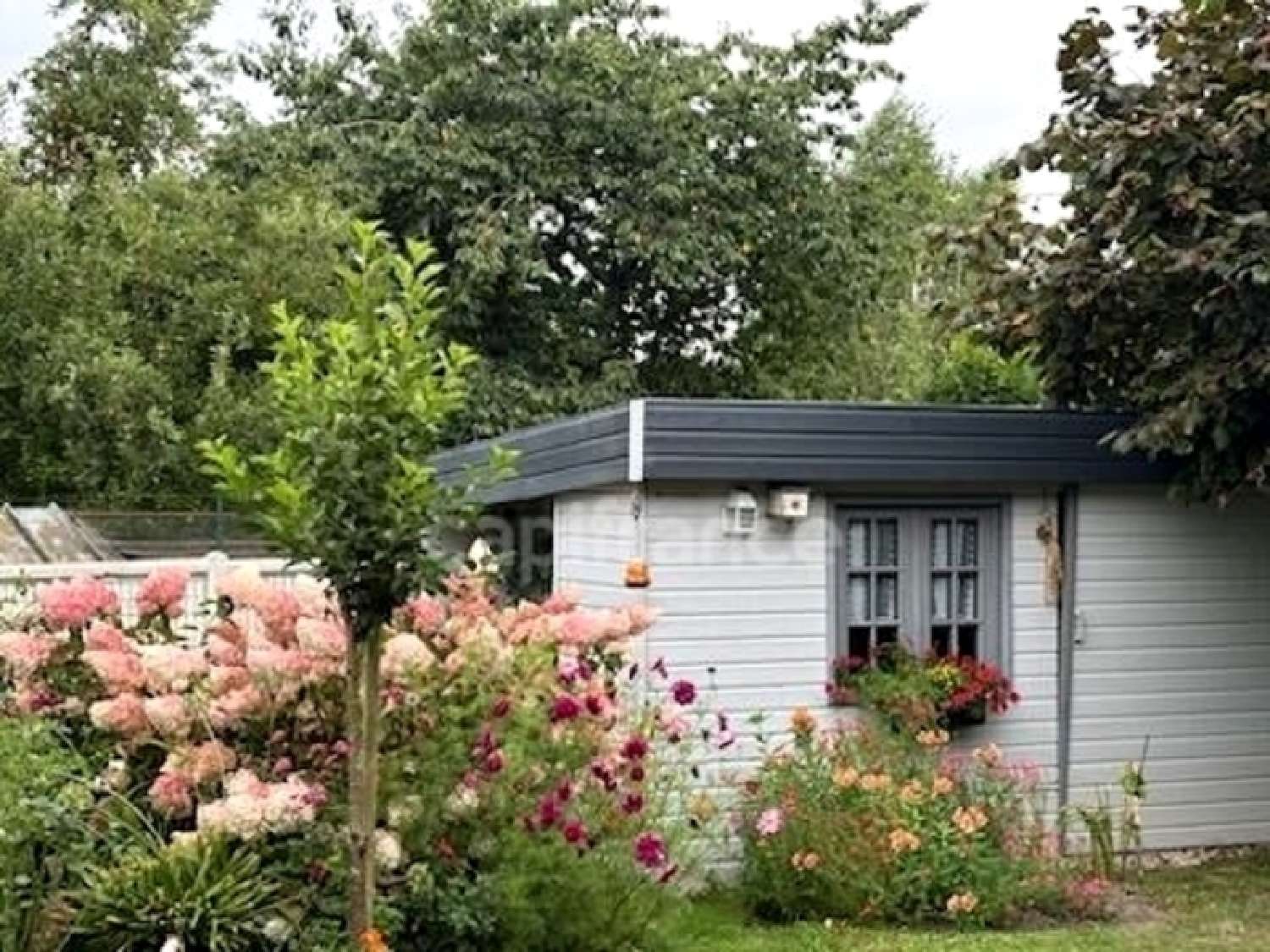  kaufen Haus Tôtes Seine-Maritime 7