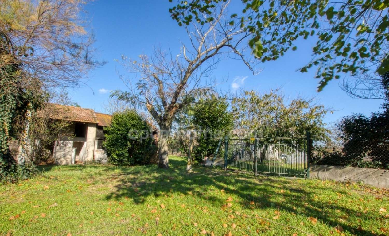  à vendre maison Toulouse 31200 Haute-Garonne 4