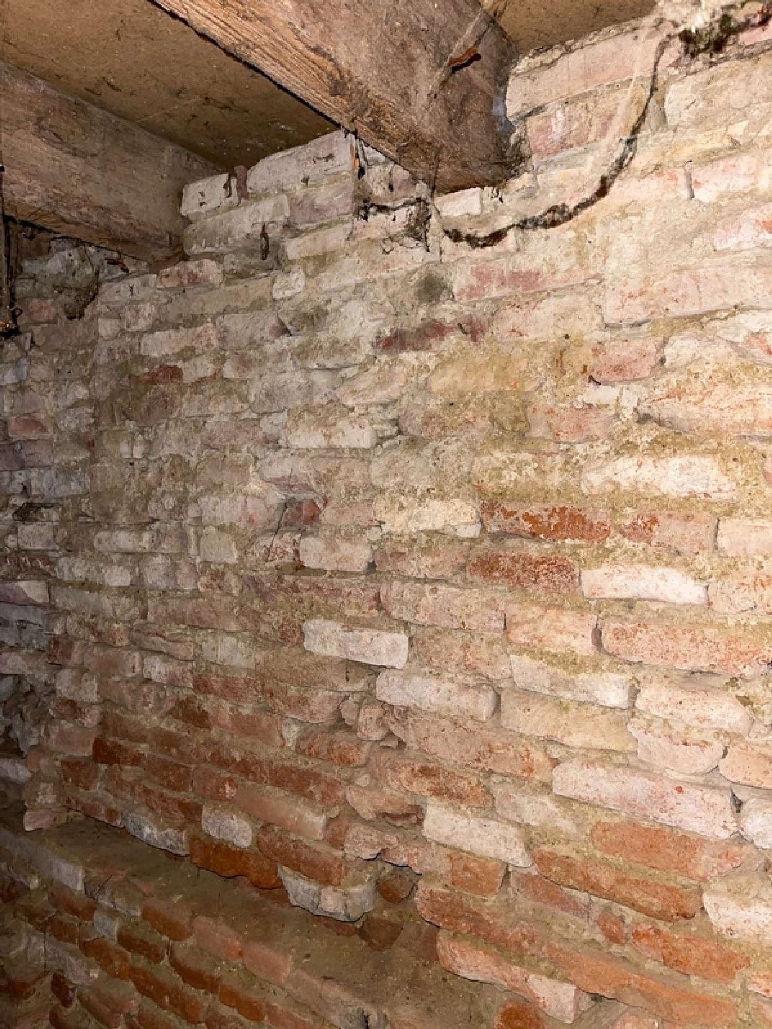  te koop huis Toulouse Haute-Garonne 3