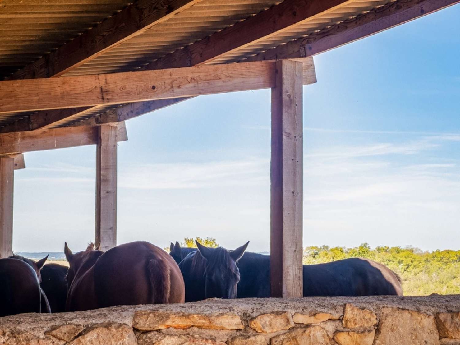 for sale house Tournon-d'Agenais Lot-et-Garonne 6