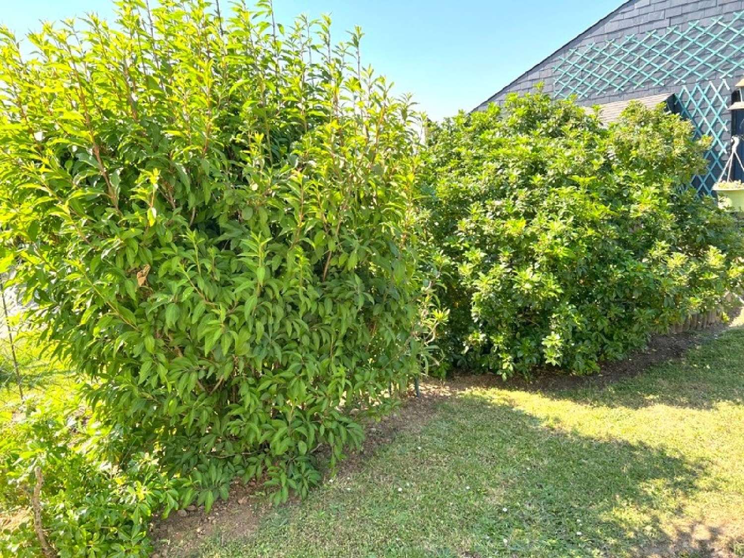 à vendre maison Trignac Loire-Atlantique 3