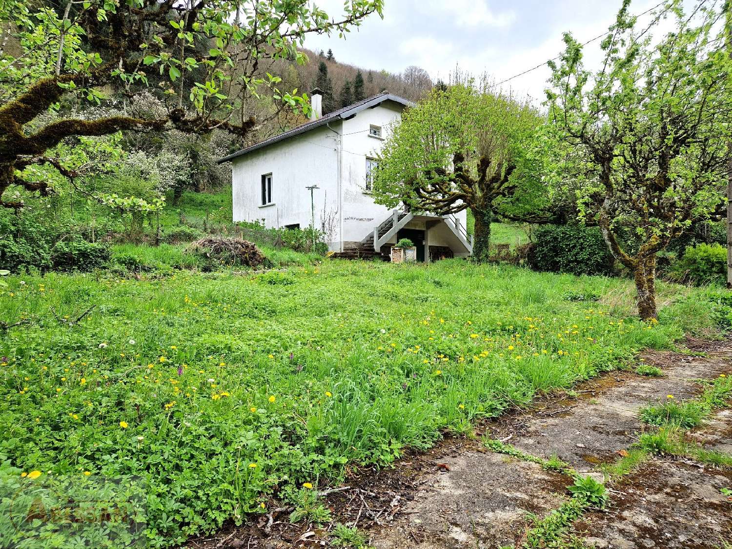  te koop huis Vabre Tarn 6