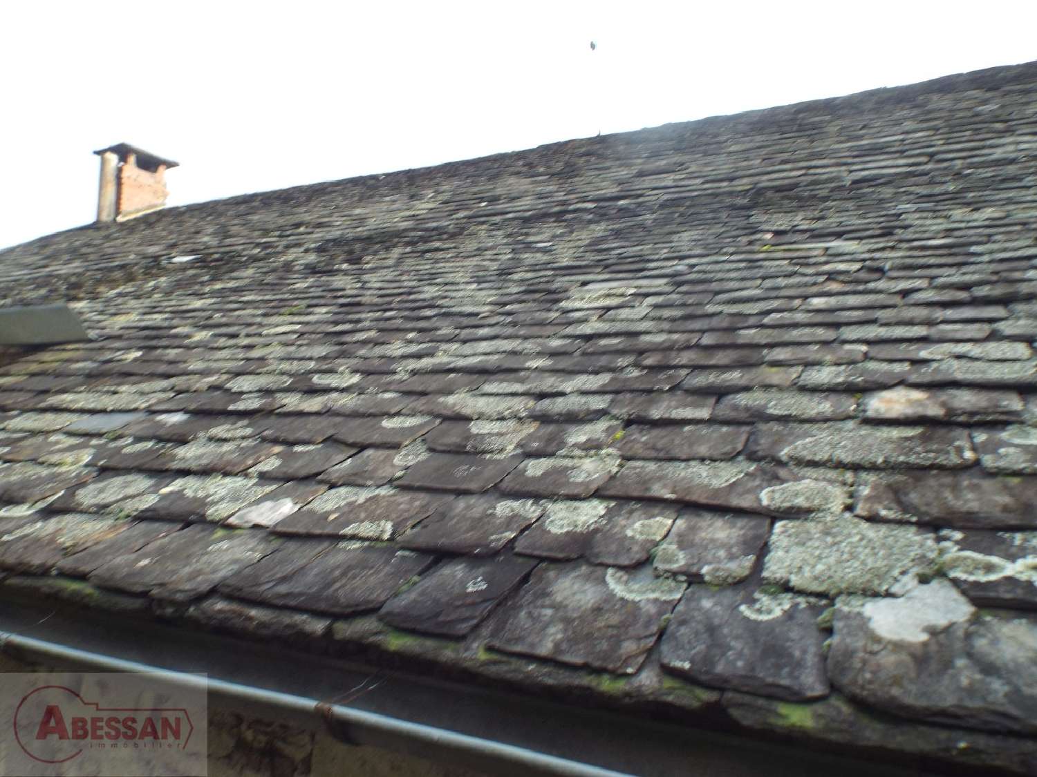  te koop huis Vabre Tarn 6