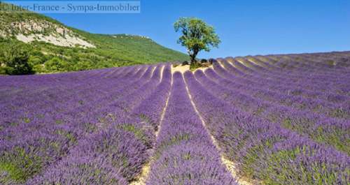 Valence Drôme huis foto 7252620