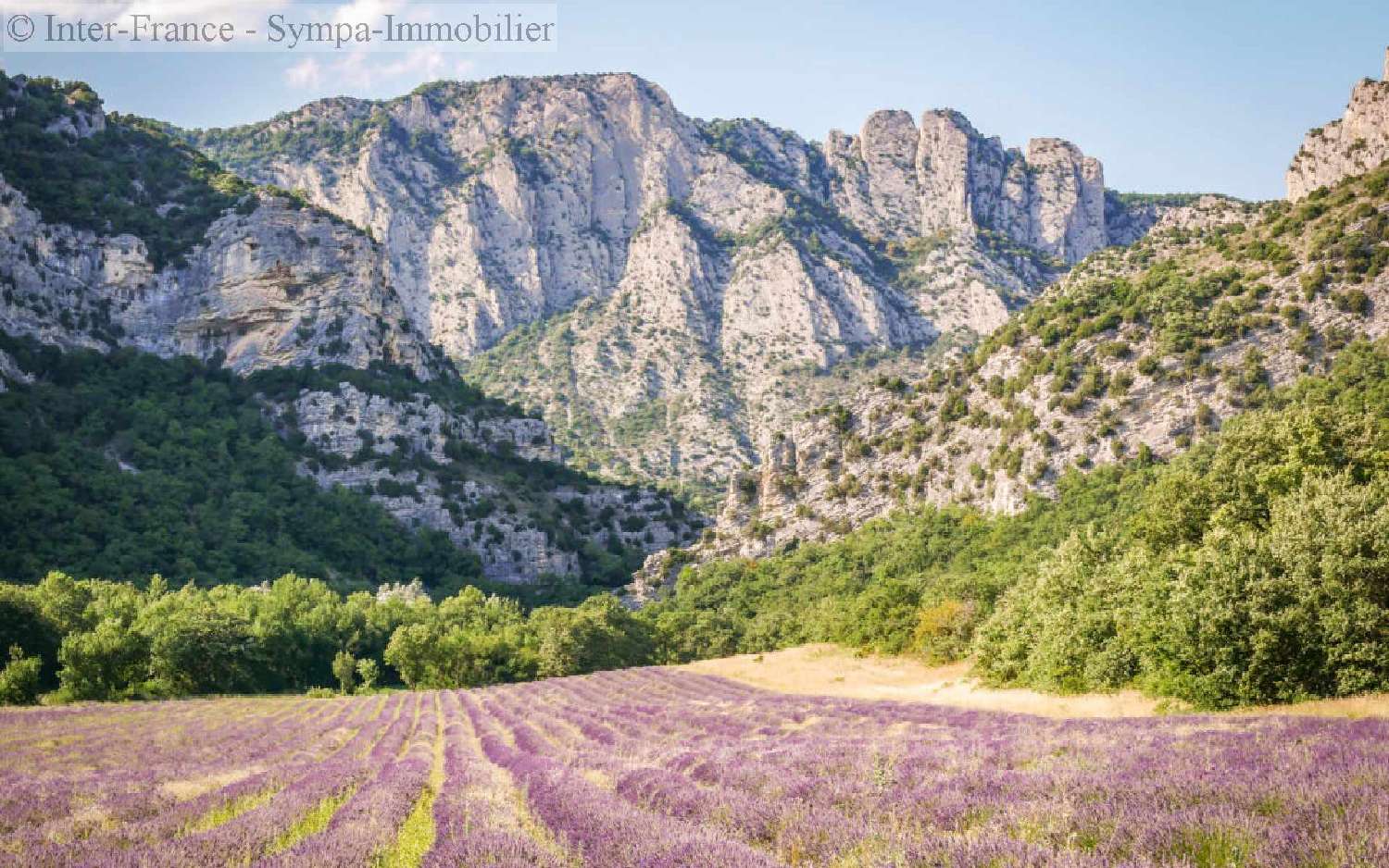  te koop huis Valence Drôme 3