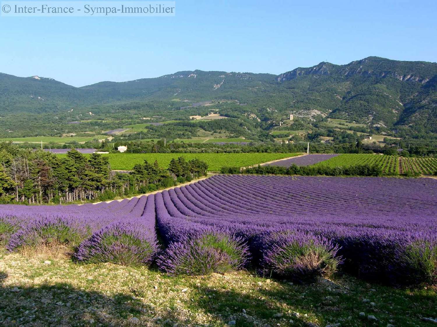  te koop huis Valence Drôme 2