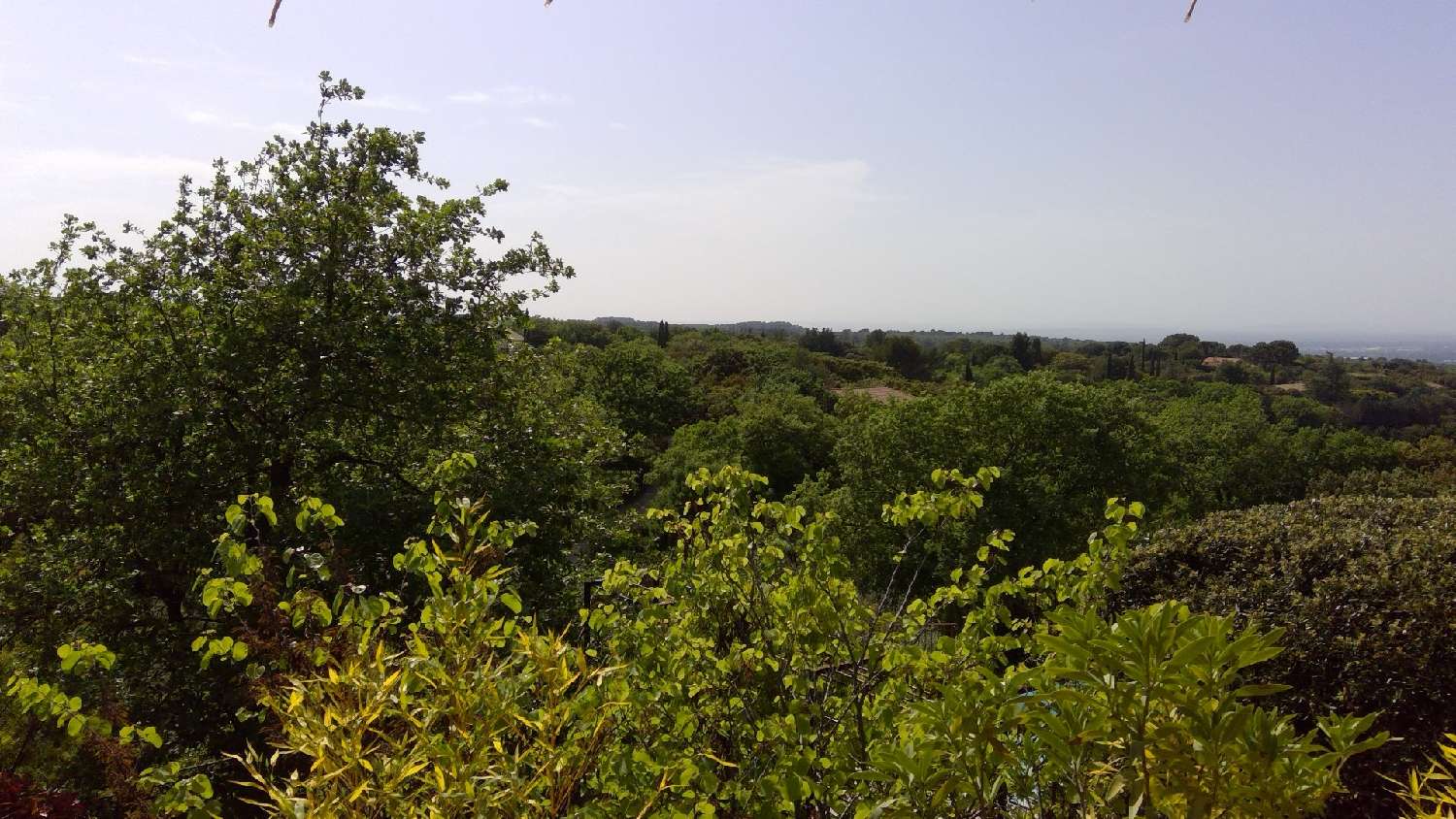  for sale house Venasque Vaucluse 1