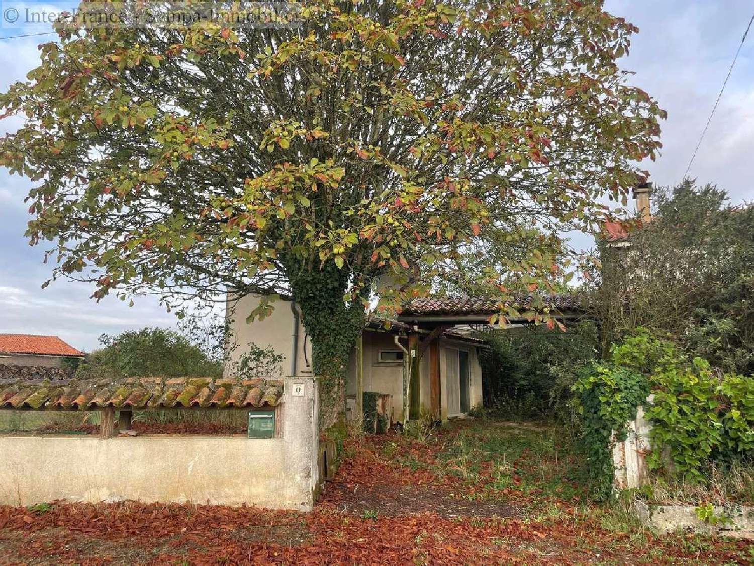  te koop huis Ventouse Charente 5