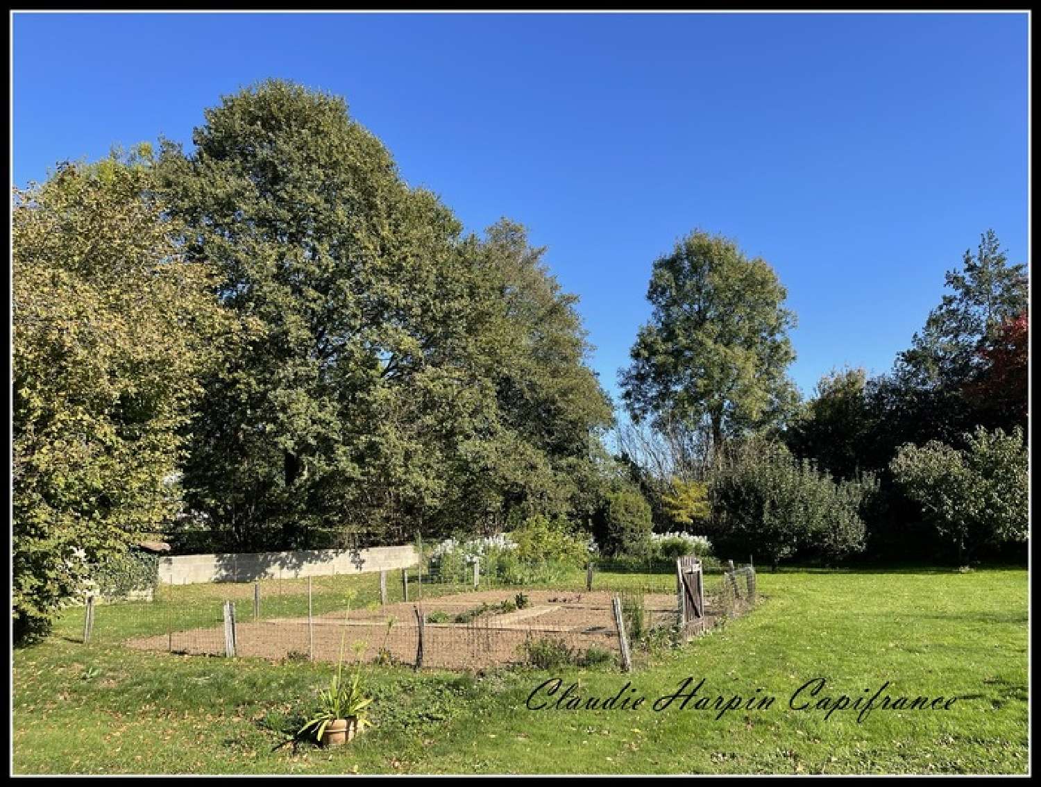  te koop huis Verruyes Deux-Sèvres 5