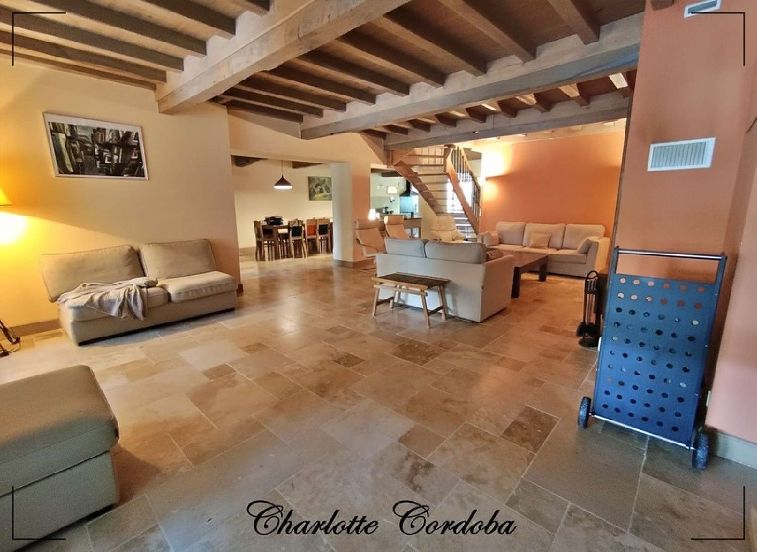  à vendre maison Vianne Lot-et-Garonne 6