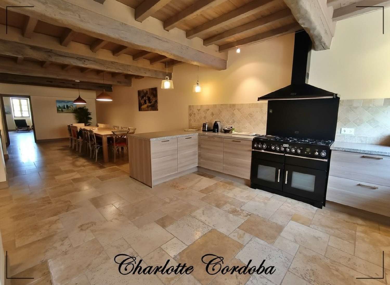  à vendre maison Vianne Lot-et-Garonne 8