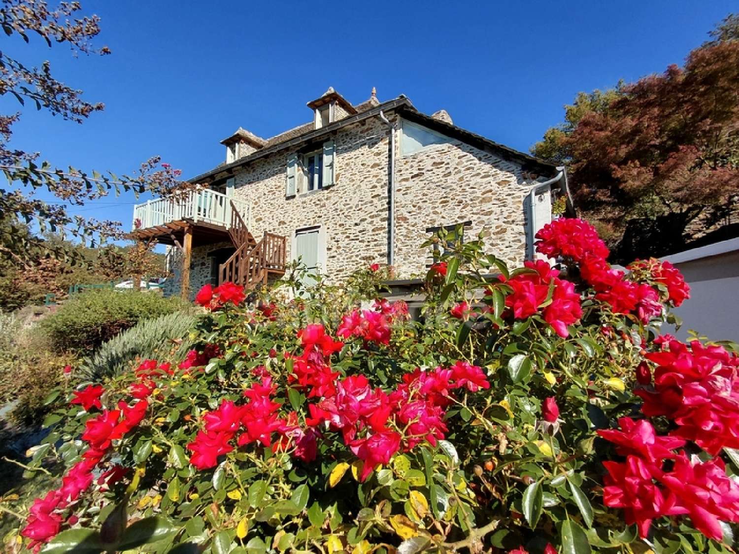  te koop huis Vieillevie Cantal 6