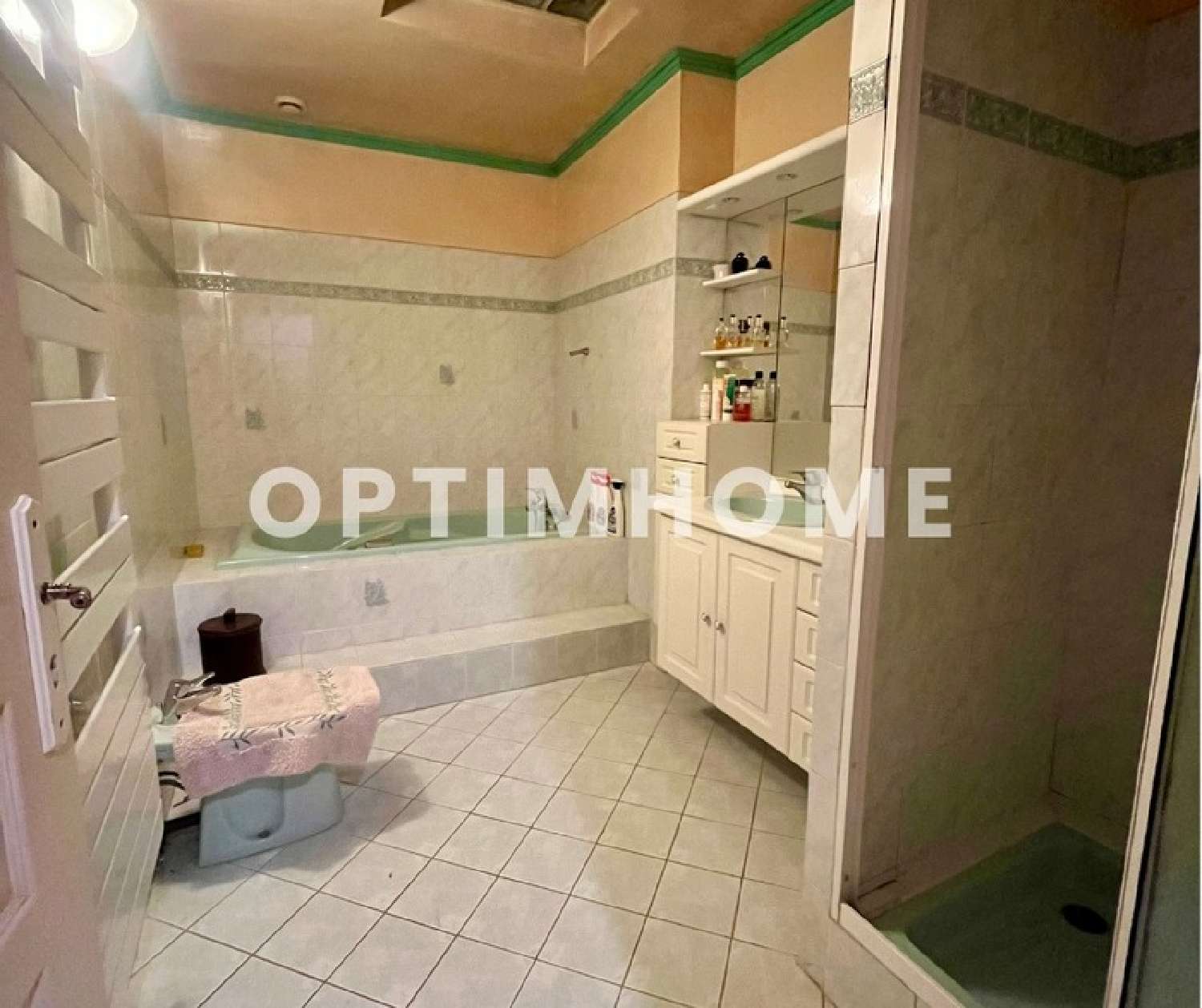  kaufen Haus Vieu-d'Izenave Ain 5