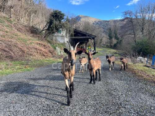  à vendre maison Viger Hautes-Pyrénées 4