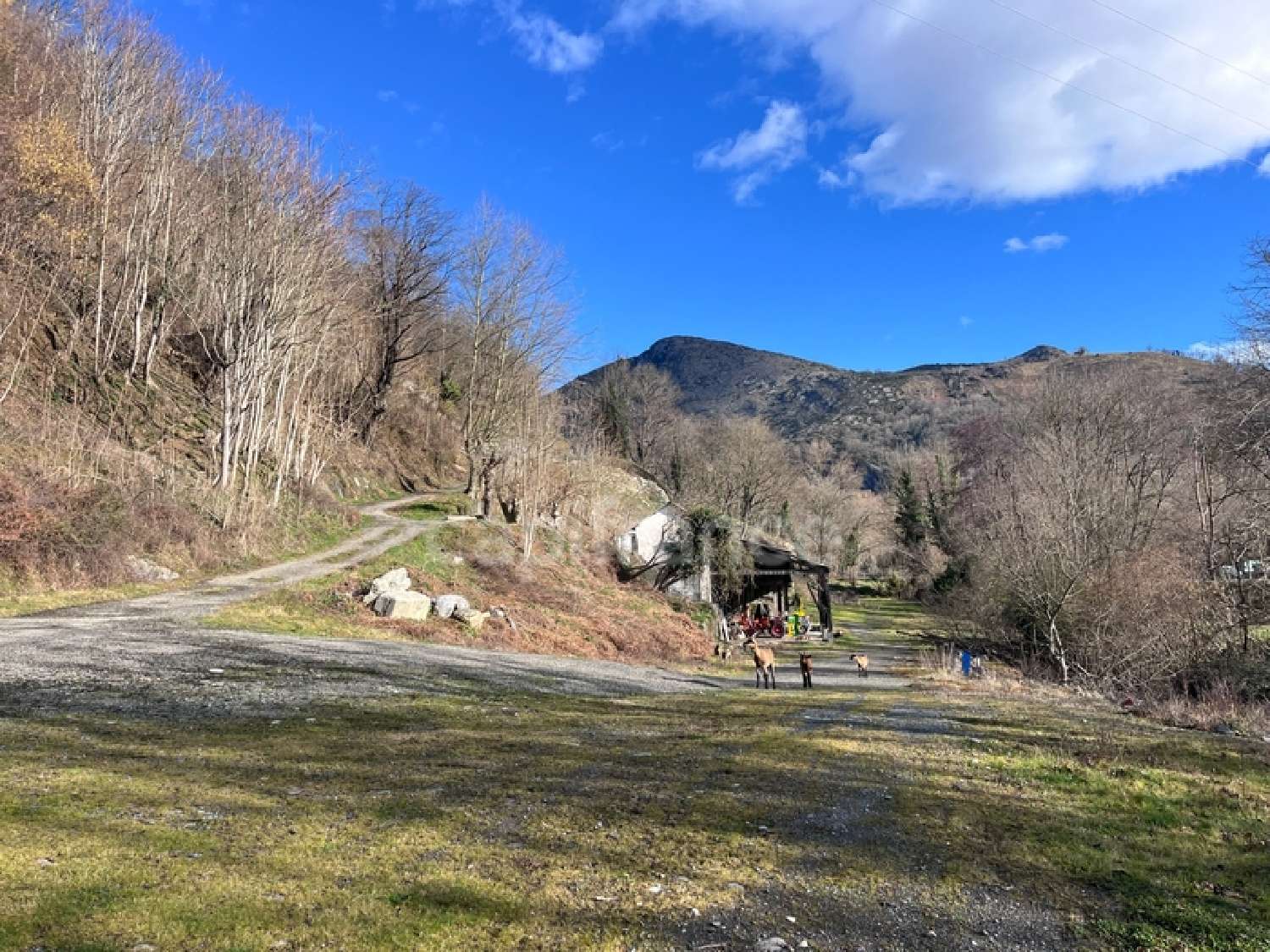 for sale house Viger Hautes-Pyrénées 8