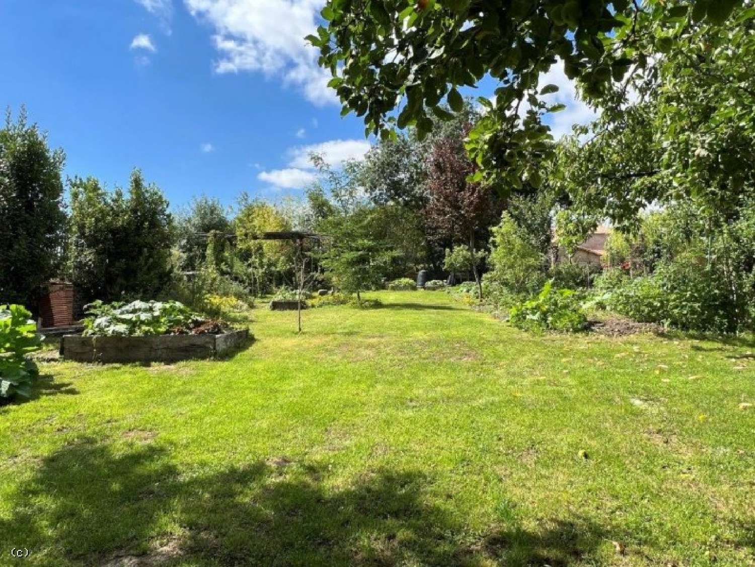  te koop huis Villefagnan Charente 5