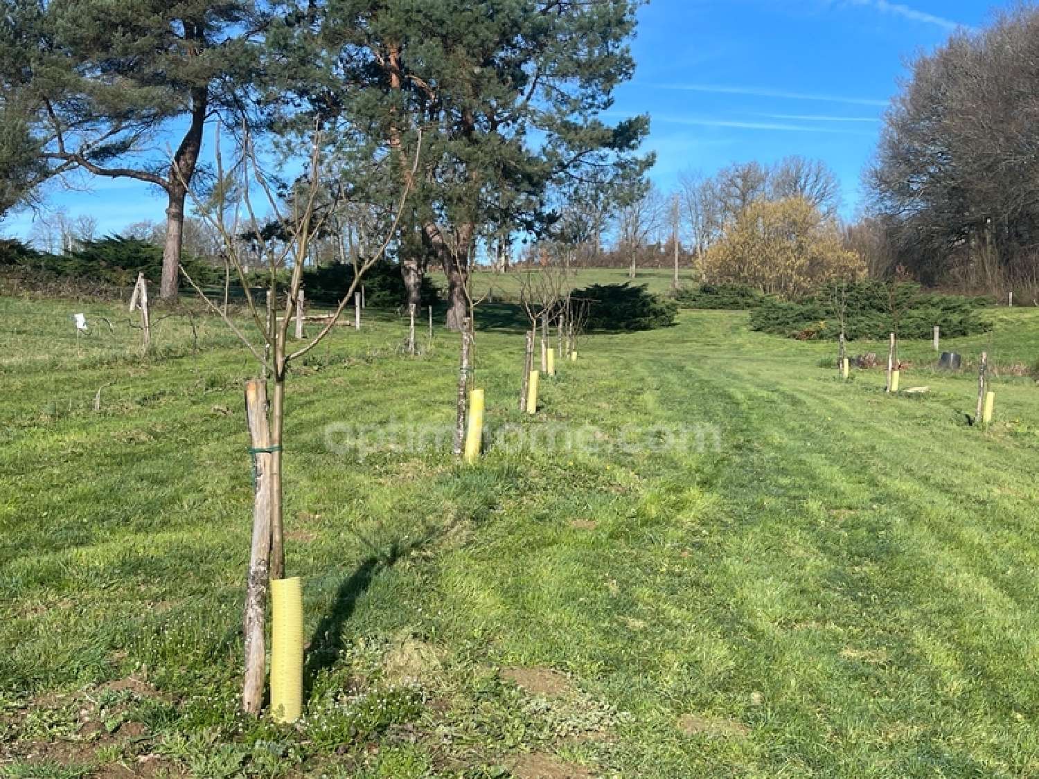  te koop huis Villefavard Haute-Vienne 7