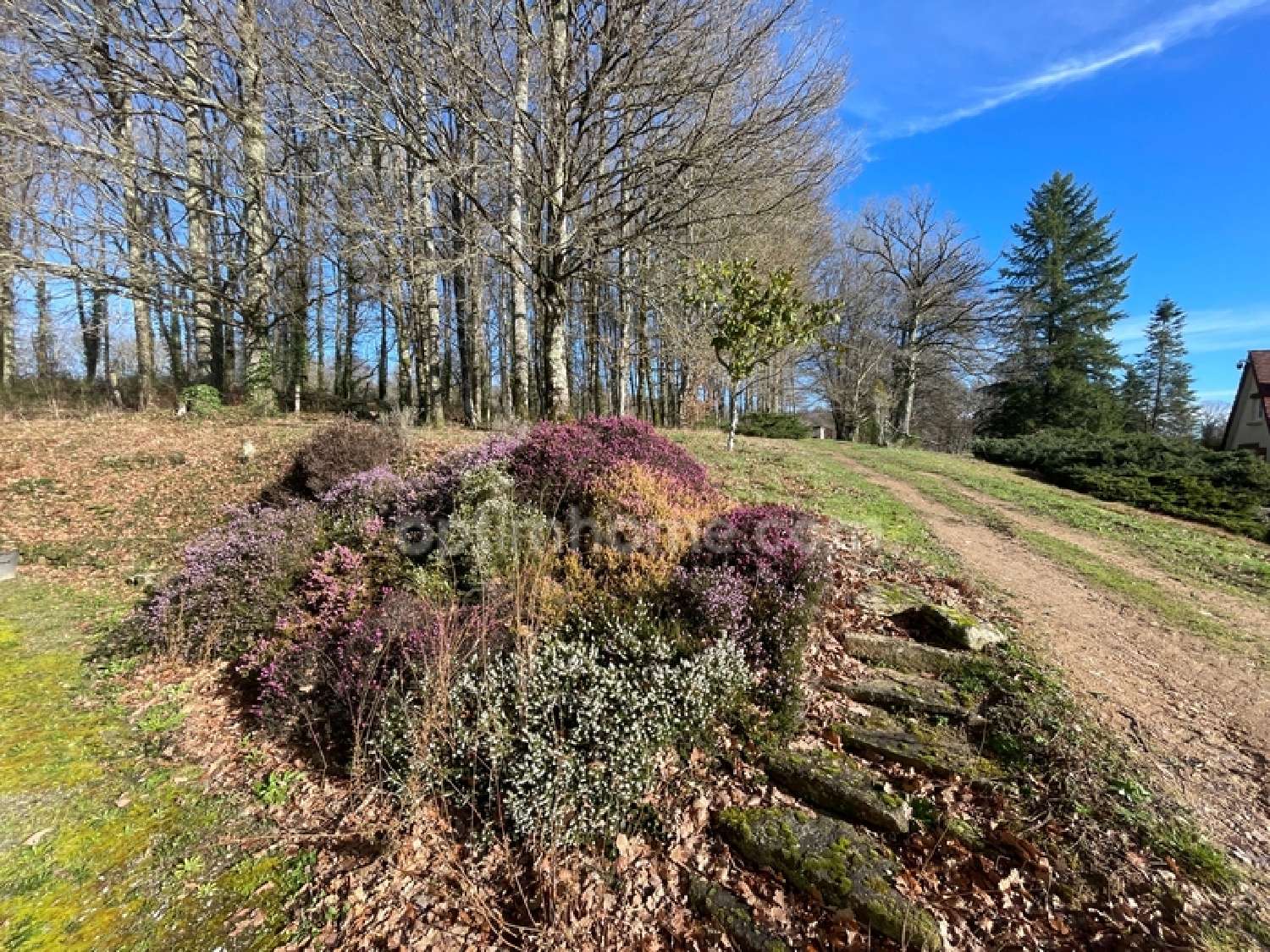  te koop huis Villefavard Haute-Vienne 8