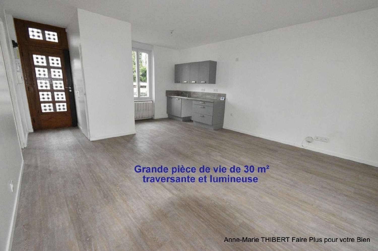  te koop huis Villeurbanne Rhône 4