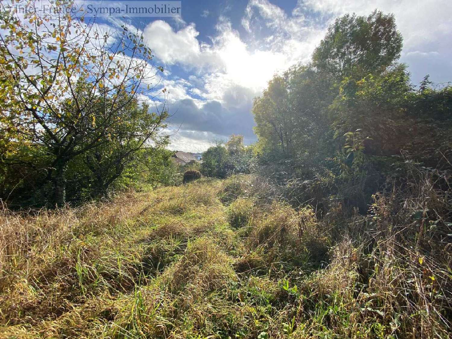  for sale house Voisey Haute-Marne 5