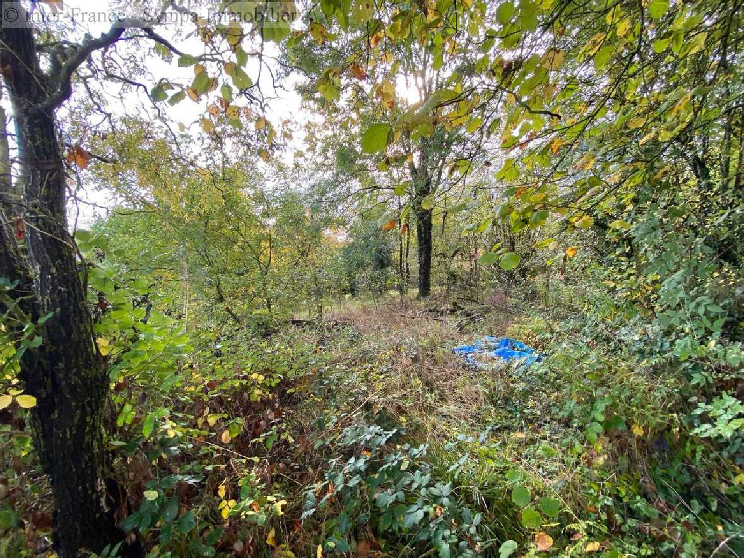  for sale house Voisey Haute-Marne 8