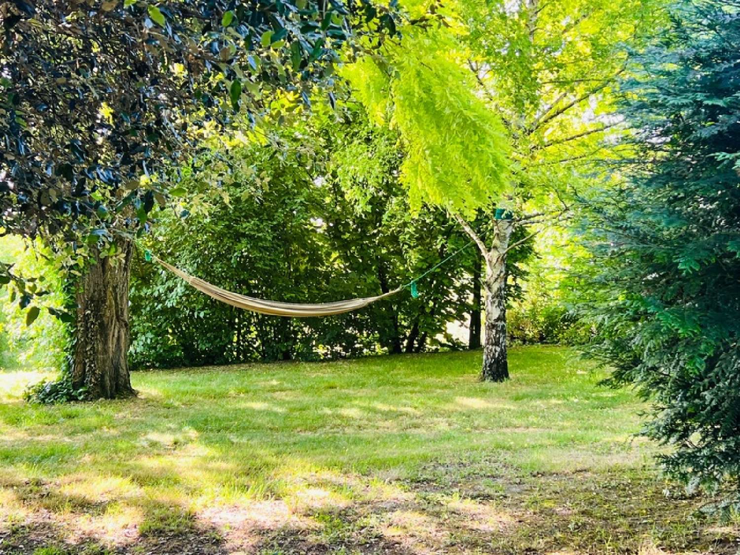  en venta mansión Saint-Sauveur Vienne 5