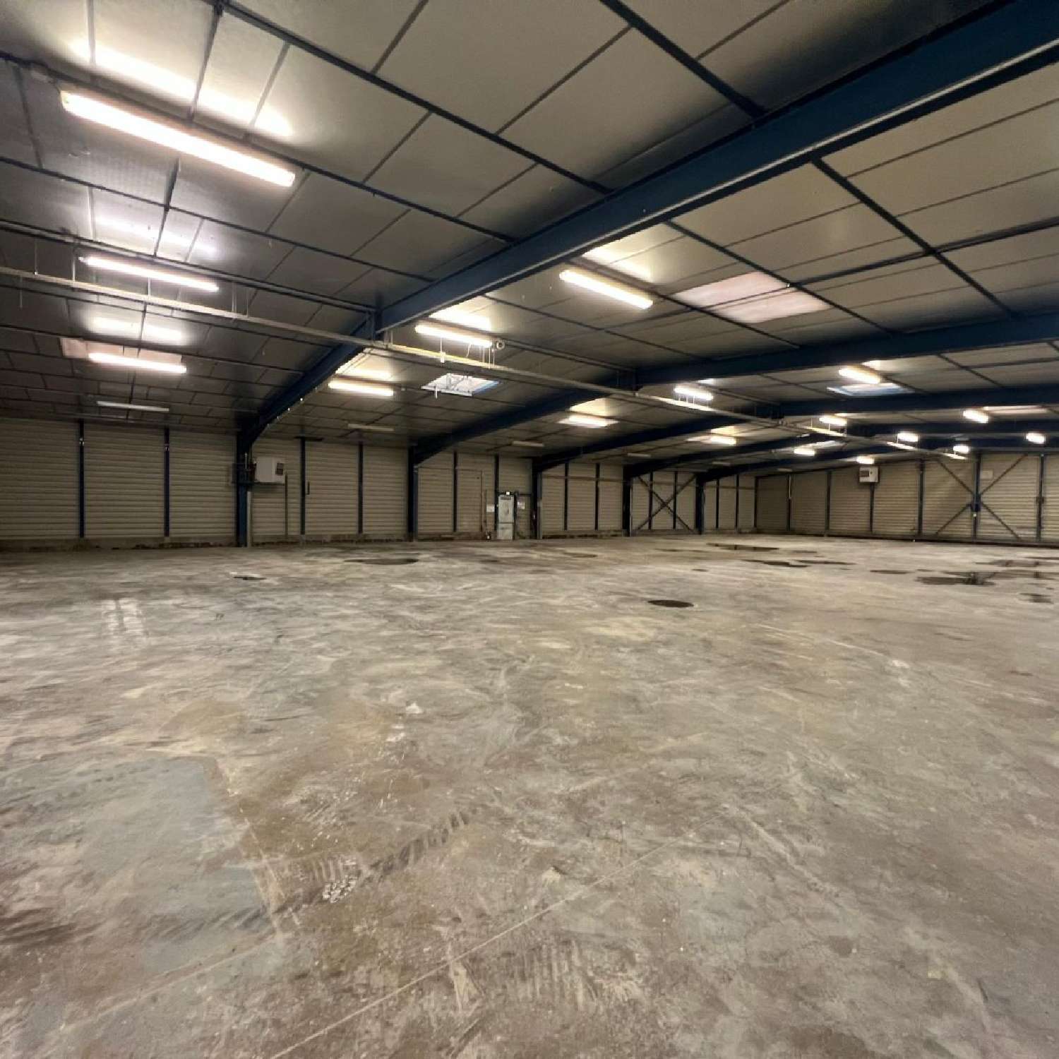  kaufen Büro Pamiers Ariège 8