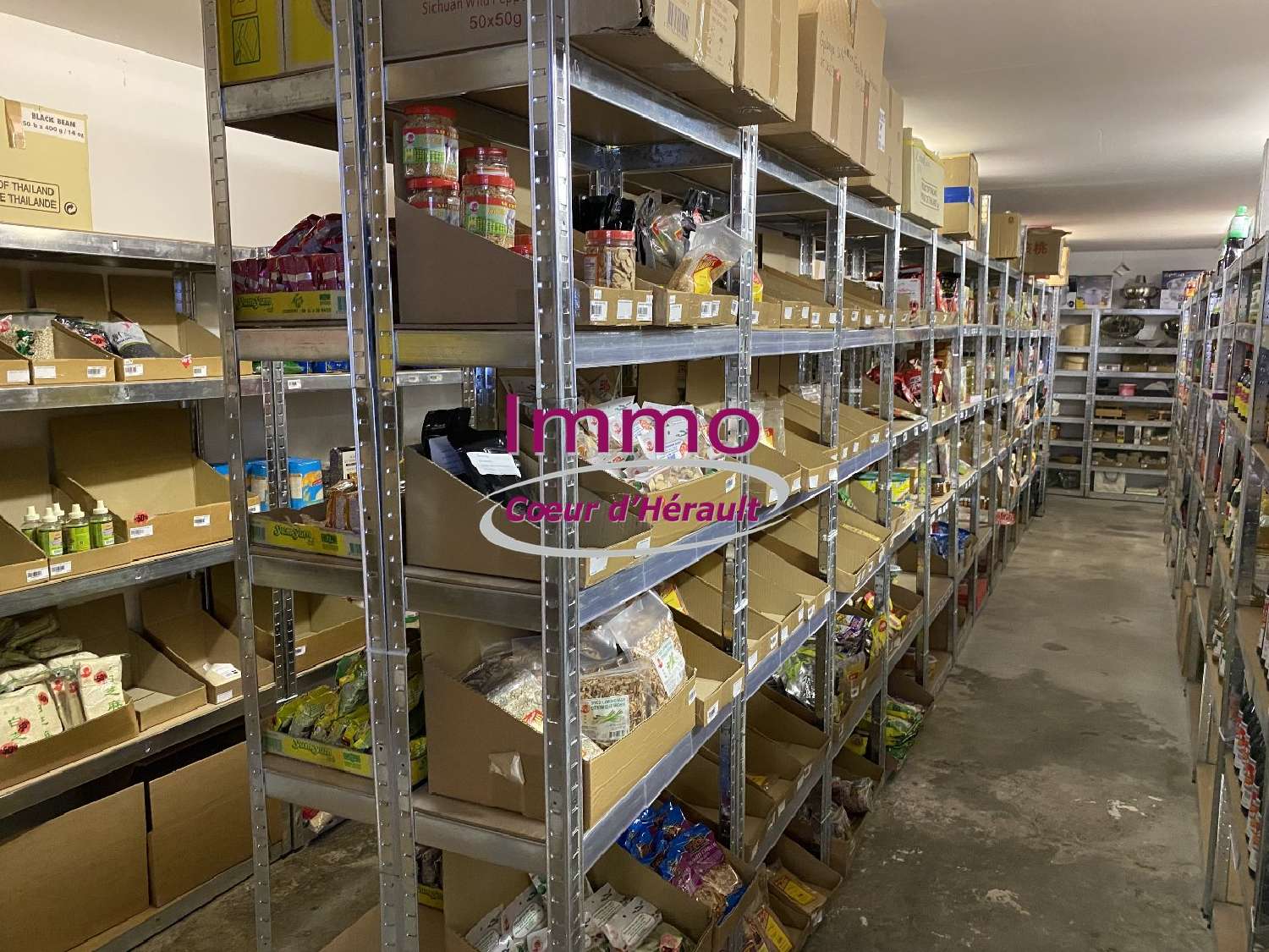  kaufen Büro Saint-André-de-Sangonis Hérault 4