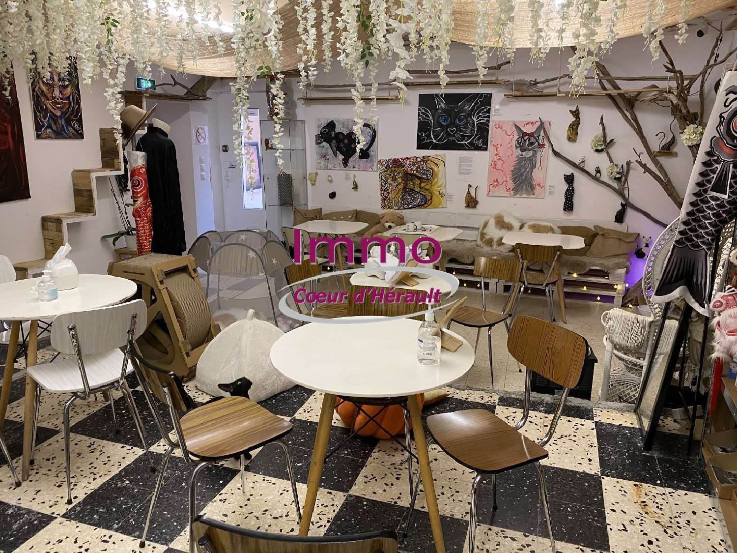 kaufen Büro Saint-André-de-Sangonis Hérault 2