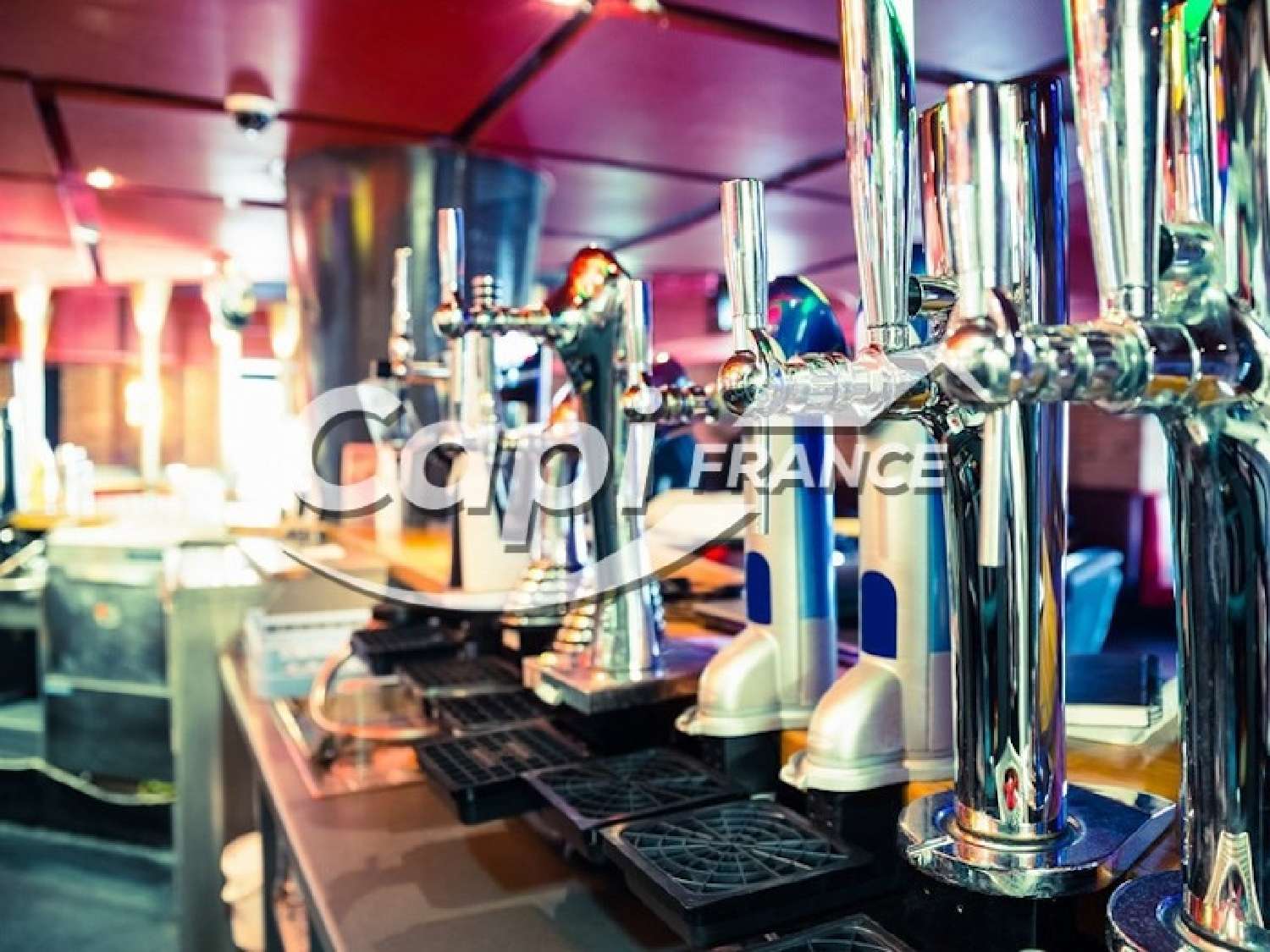  te koop restaurant Aix-les-Bains Savoie 1