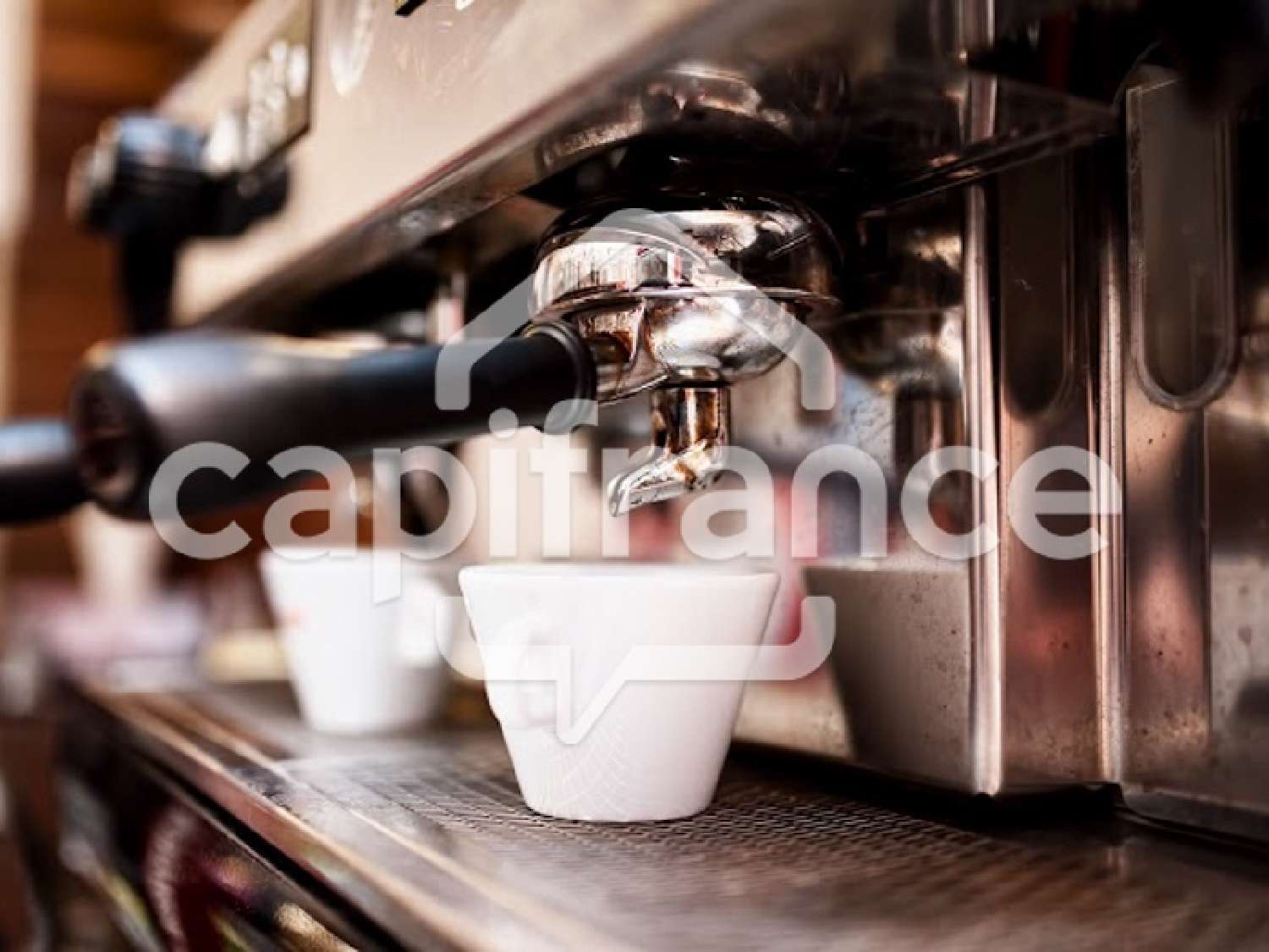  for sale restaurant La Chapelle-sur-Erdre Loire-Atlantique 6