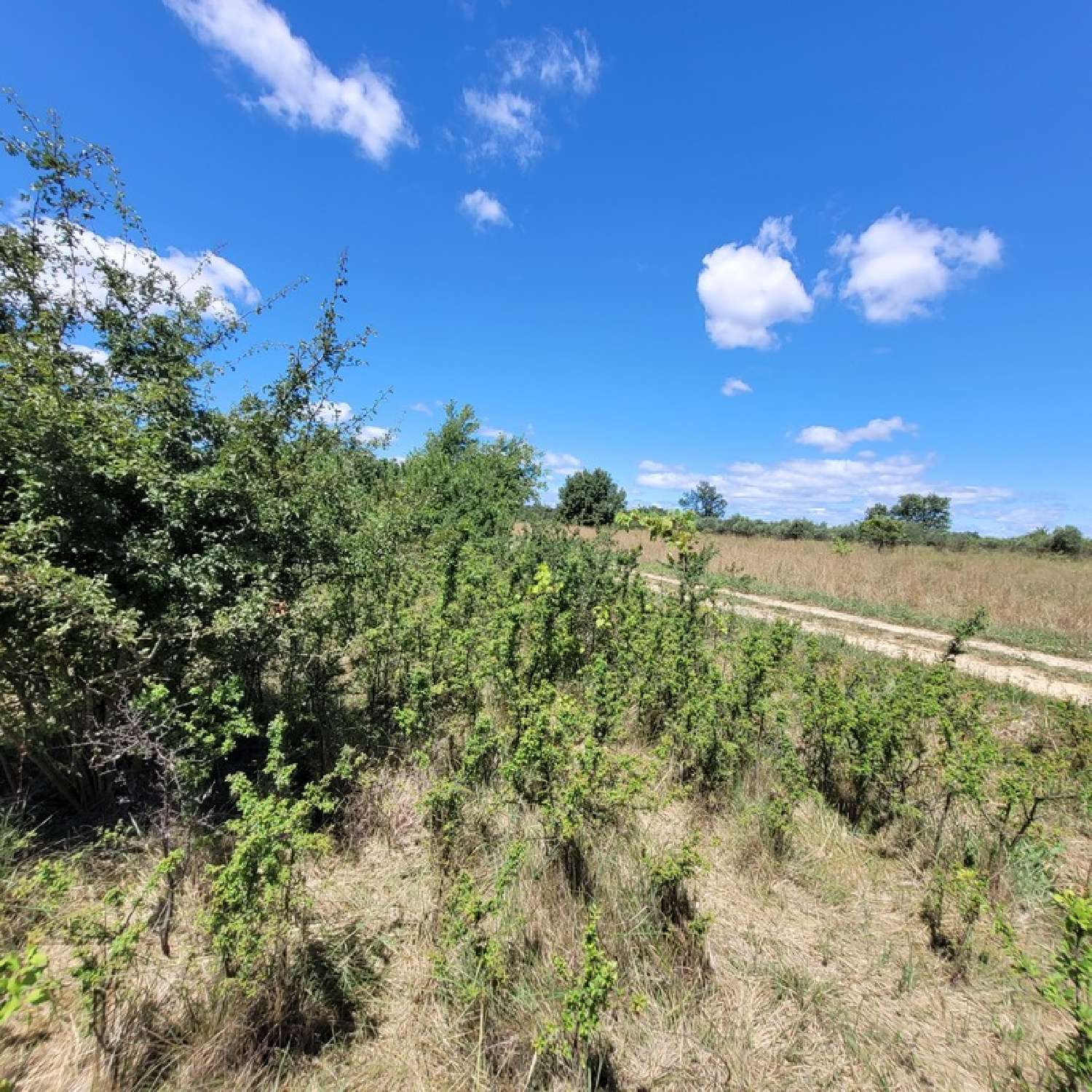 kaufen Grundstück Allègre Gard 2