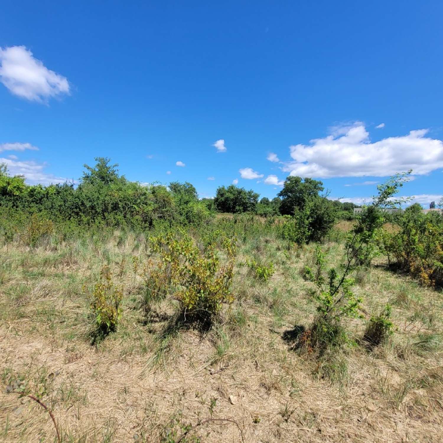 kaufen Grundstück Allègre Gard 5