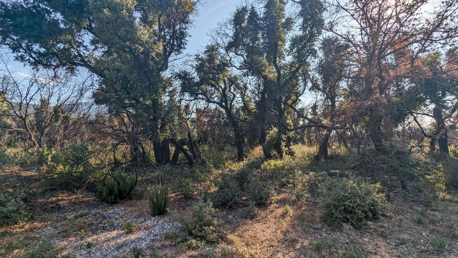 en venta terreno Saint-André Pirineo Oriental 1