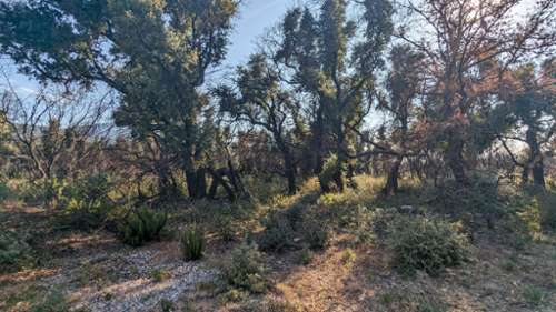 Saint-André Pirineo Oriental terreno foto 7251560