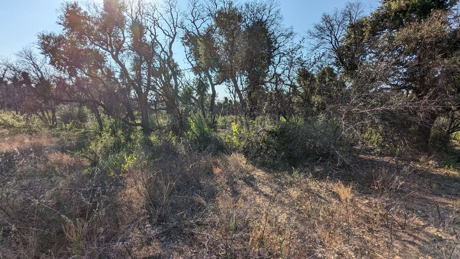 en venta terreno Saint-André Pirineo Oriental 3