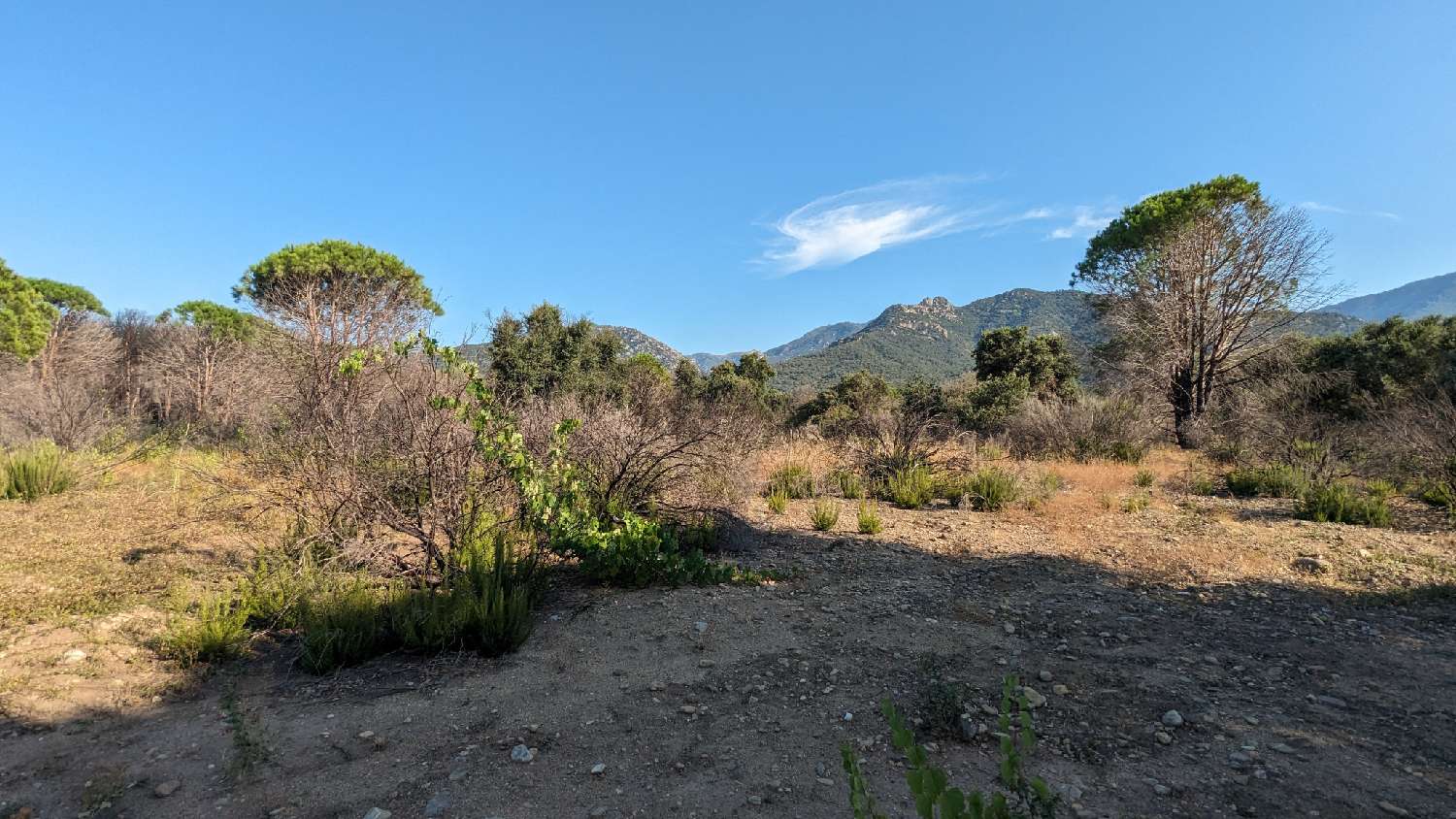 en venta terreno Saint-André Pirineo Oriental 4