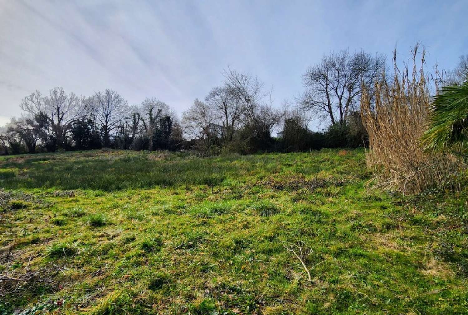 te koop terrein Auga Pyrénées-Atlantiques 3