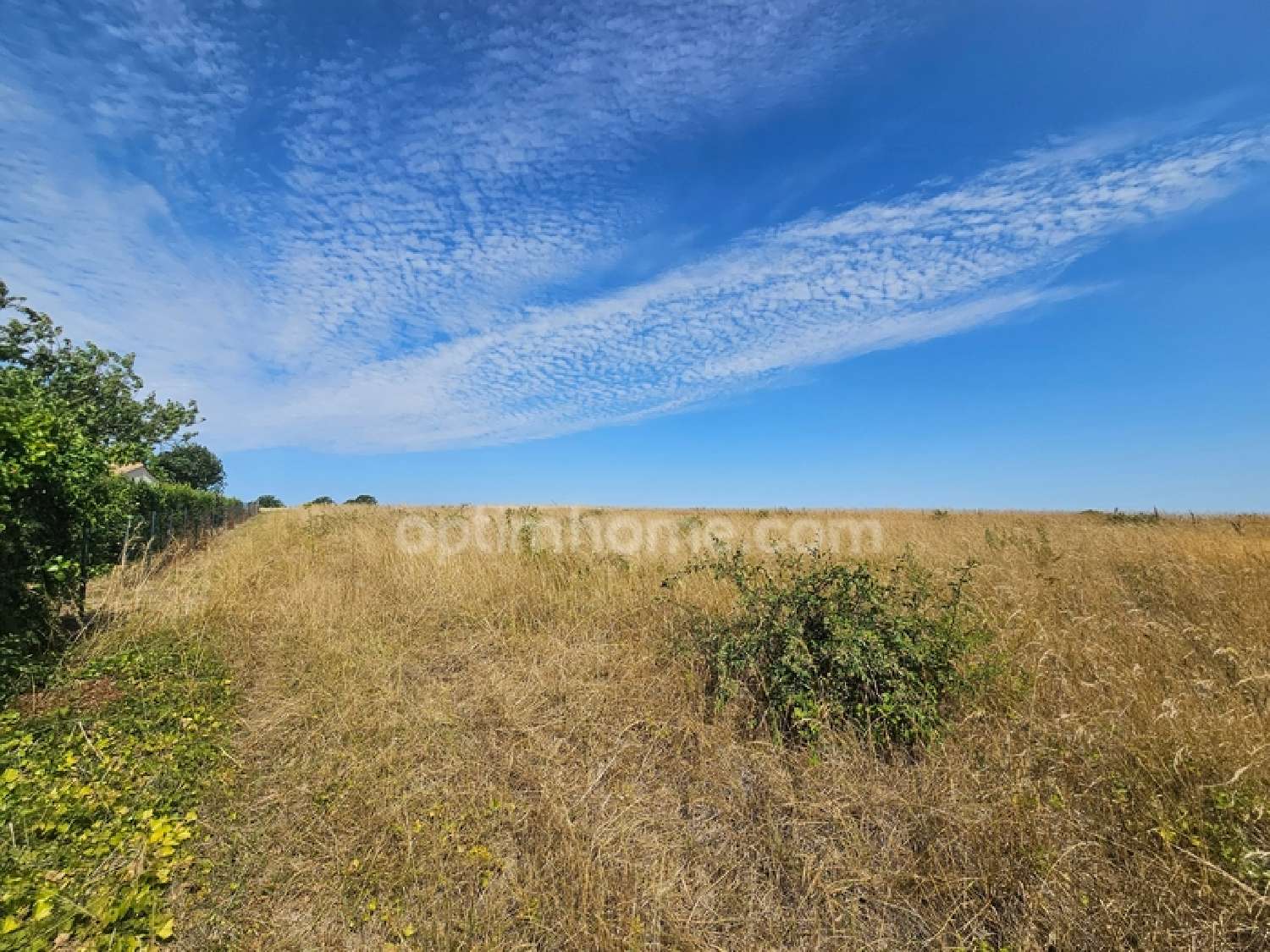  for sale terrain Aunac Charente 2