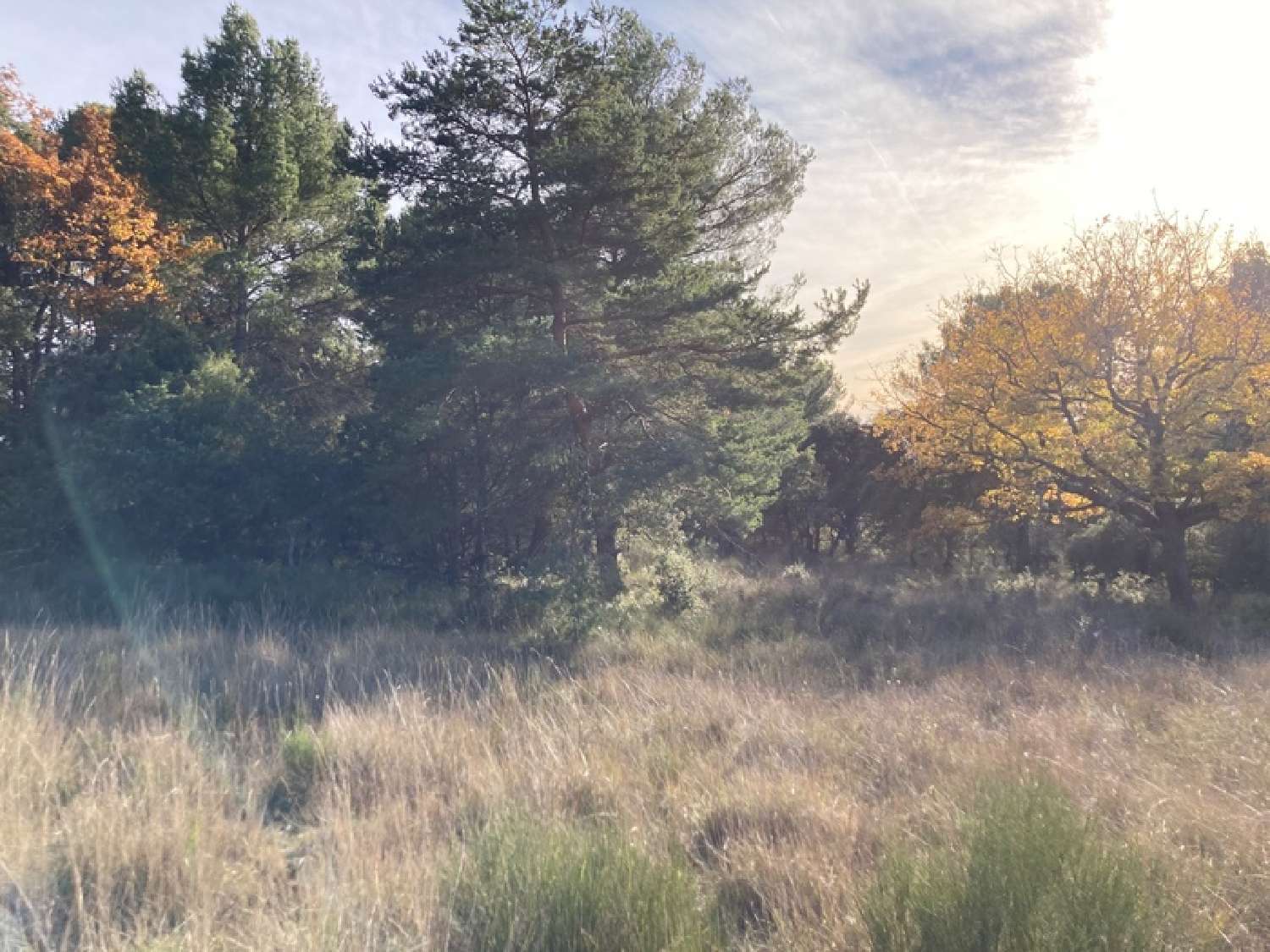  for sale terrain Aups Var 1