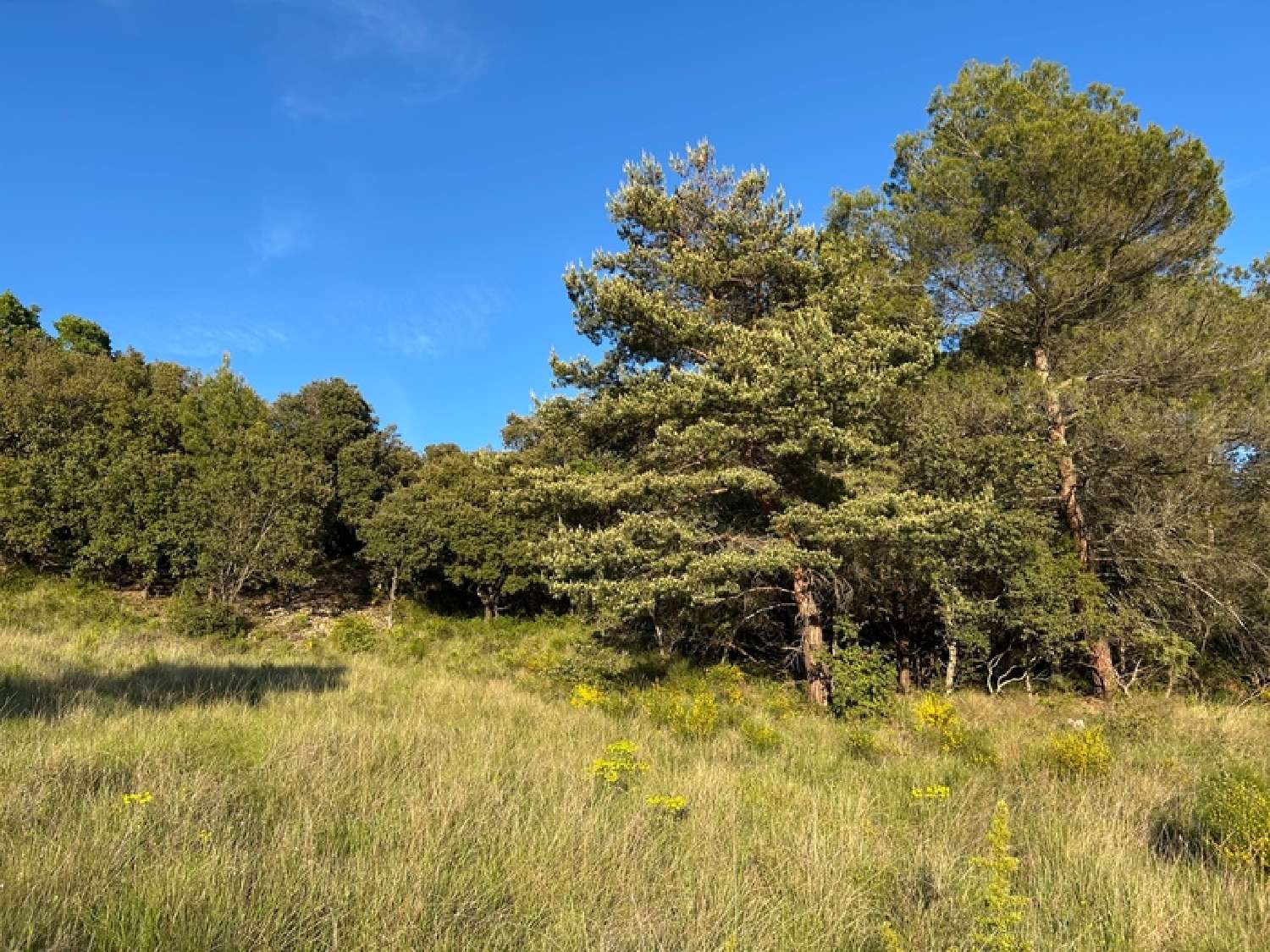  for sale terrain Aups Var 2