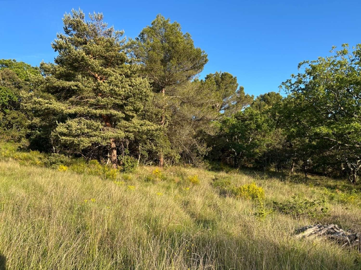  for sale terrain Aups Var 3