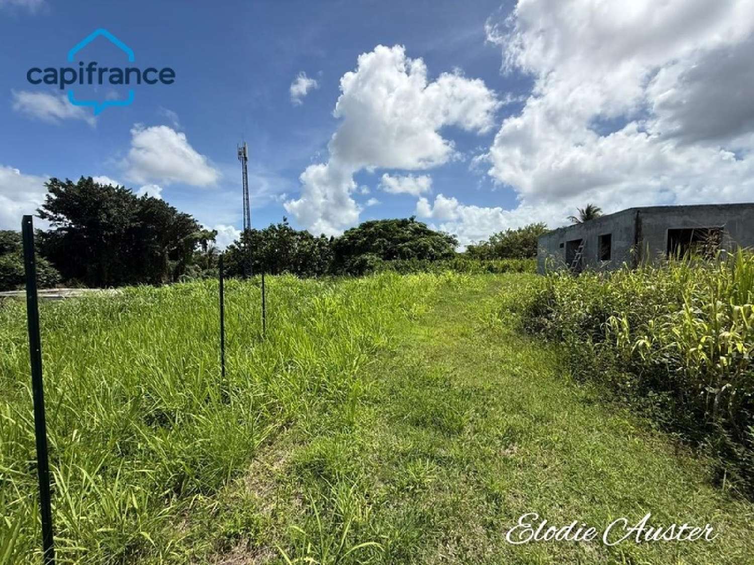  en venta terreno Baie-Mahault Guadeloupe 3