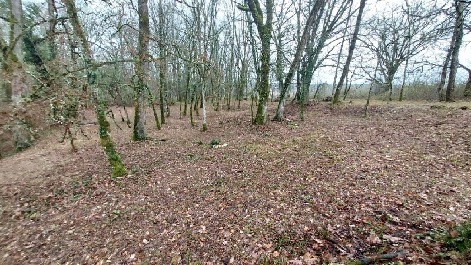  kaufen Grundstück Baladou Lot 1