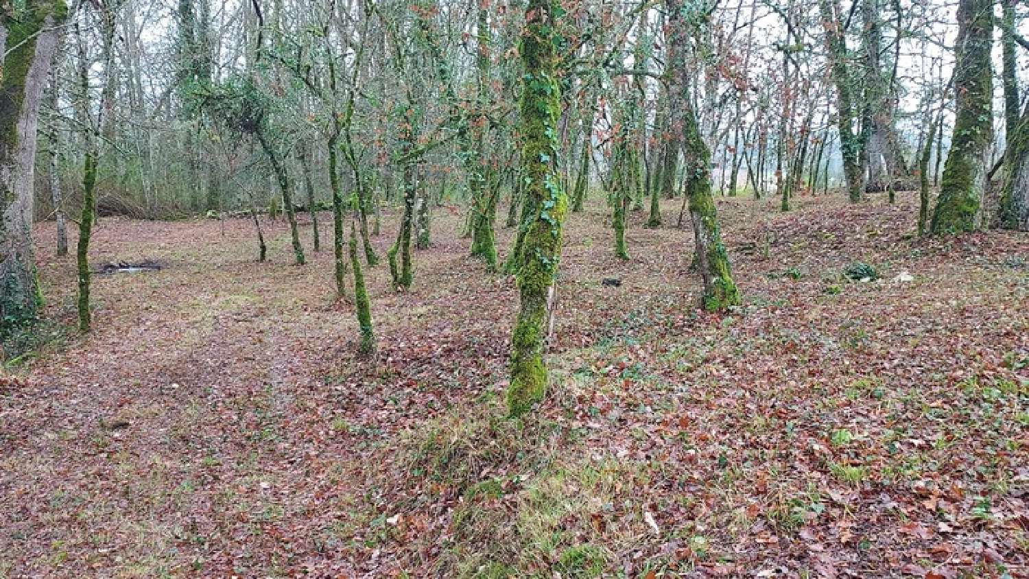  kaufen Grundstück Baladou Lot 2