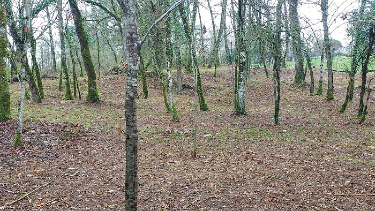  kaufen Grundstück Baladou Lot 3