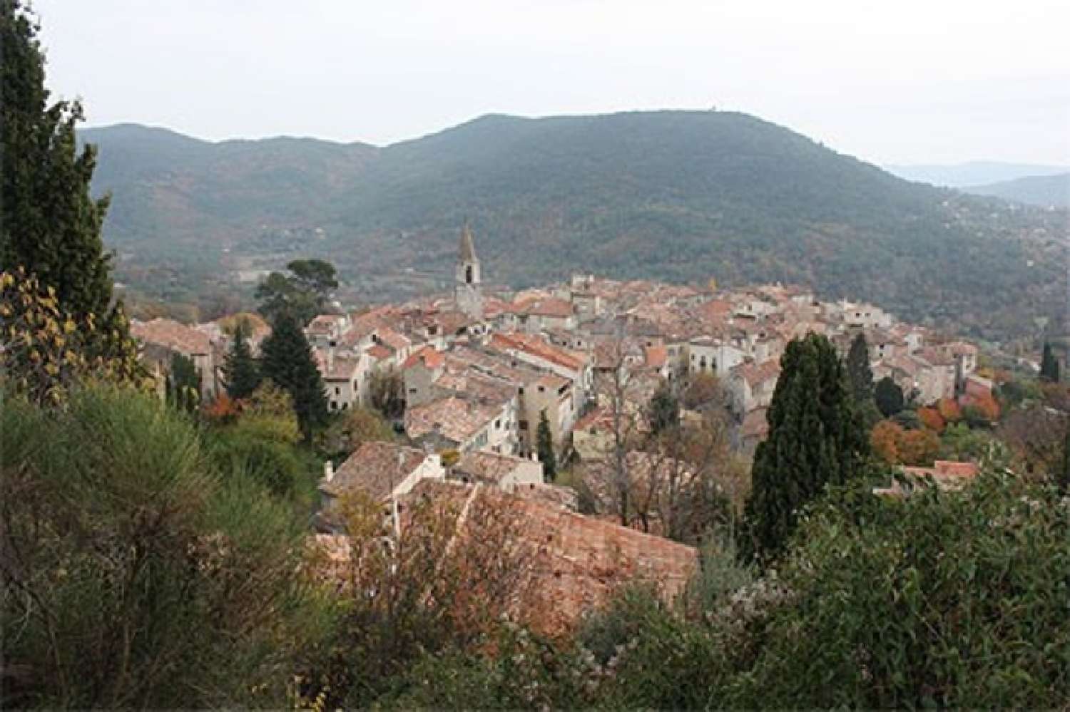  for sale terrain Bargemon Var 1