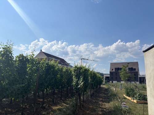 Barr Bas-Rhin Grundstück Bild 7252763