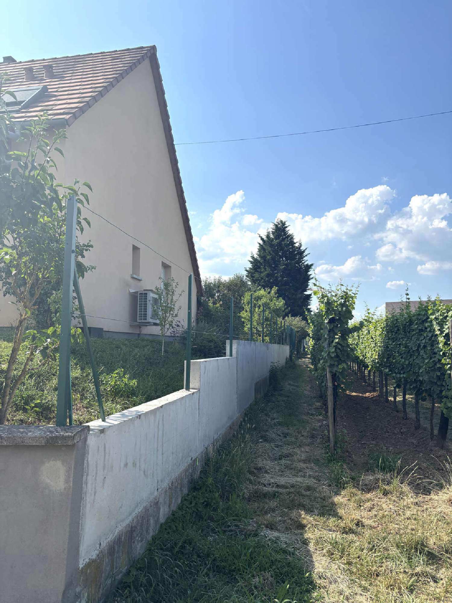  kaufen Grundstück Barr Bas-Rhin 2