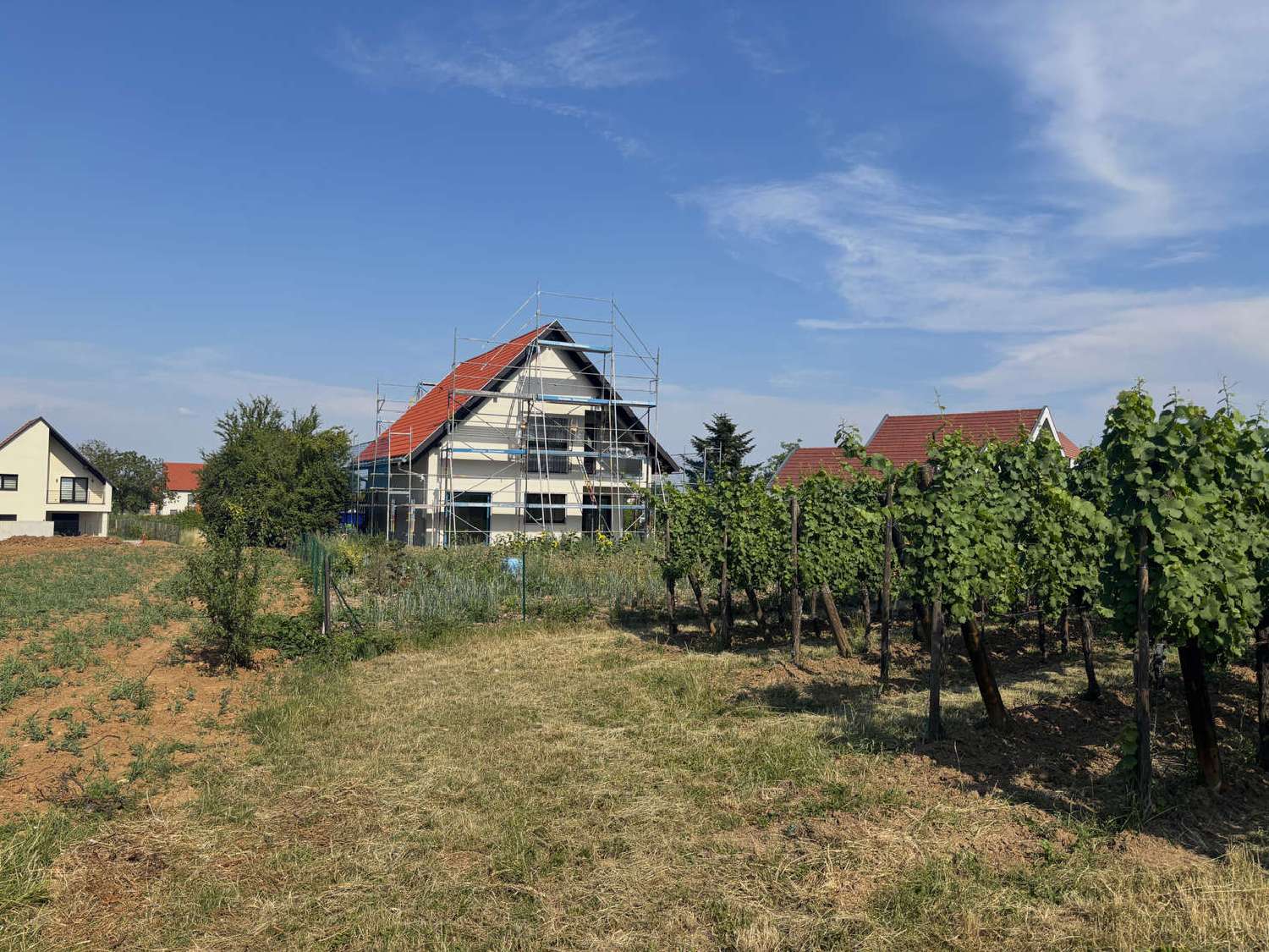  kaufen Grundstück Barr Bas-Rhin 3